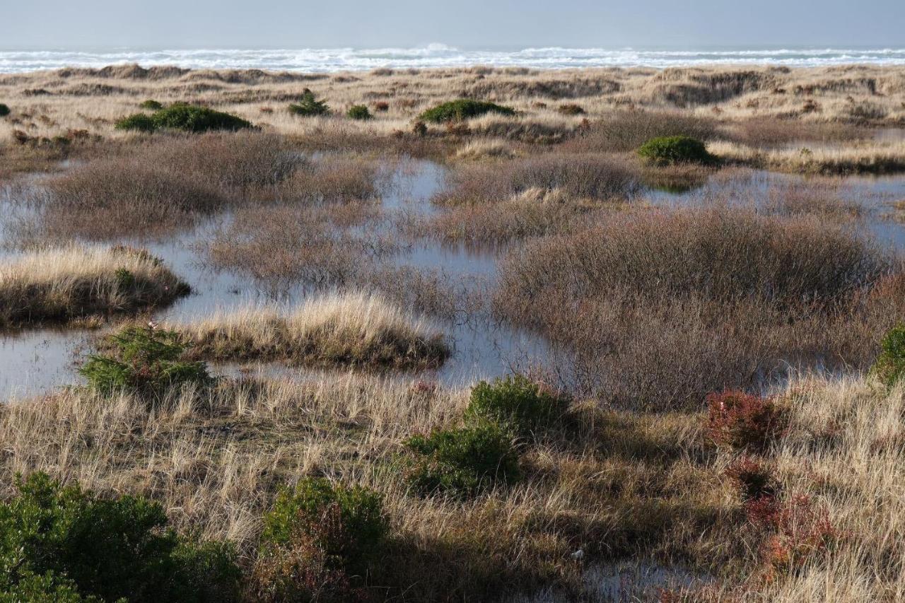 Vila Tidal House 3 Ocean Shores Exteriér fotografie